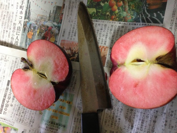 干しりんごの試食