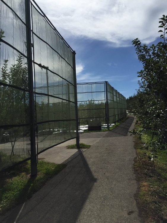 爆弾低気圧に備え、、