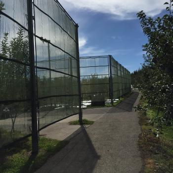 爆弾低気圧に備え、、