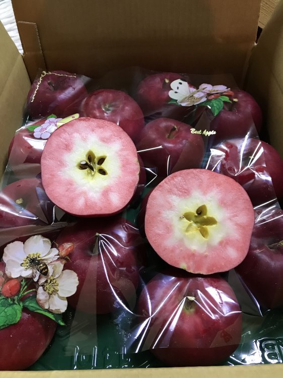 「紅の夢」収穫