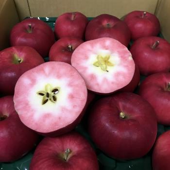 果肉の赤いりんご「紅の夢」