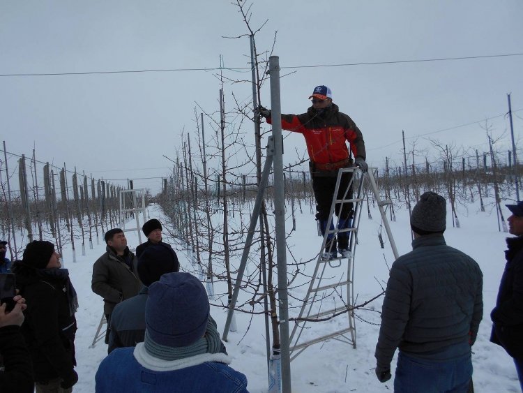 JICA 草の根協力支援事業　来日　研修