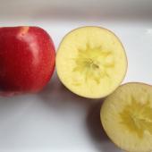 青森りんご「サンふじ」の蜜入り！