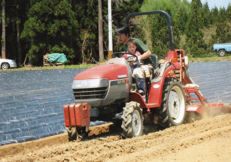 高原野菜を栽培 サニタスガーデン HARVEST MARKET参加しました！