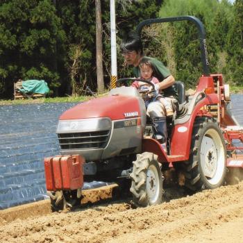 高原野菜を栽培 サニタスガーデン HARVEST MARKET参加しました！