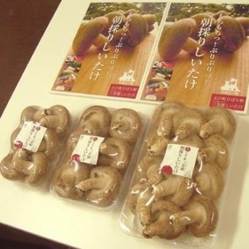 三芳園の椎茸はコチラで購入できます！