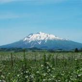 有限会社 せいの農園