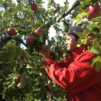 HARVEST MARKETに参加しました！