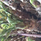 はじめまして！