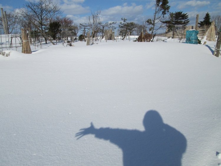 太陽のエネルギーを