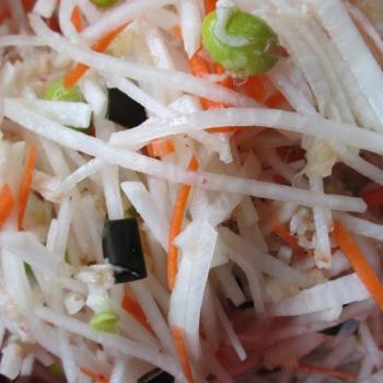 朝鮮漬けに挑戦