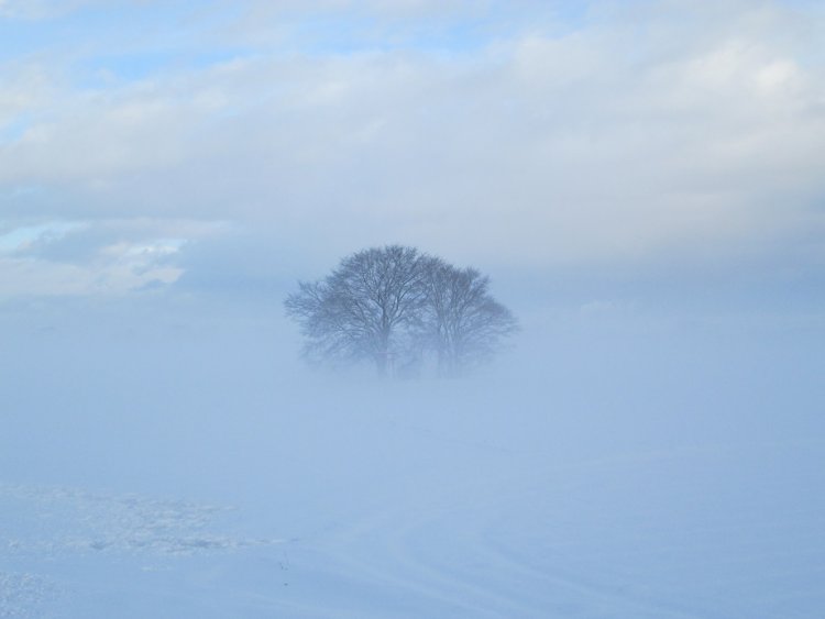 靄（もや）に包まれて