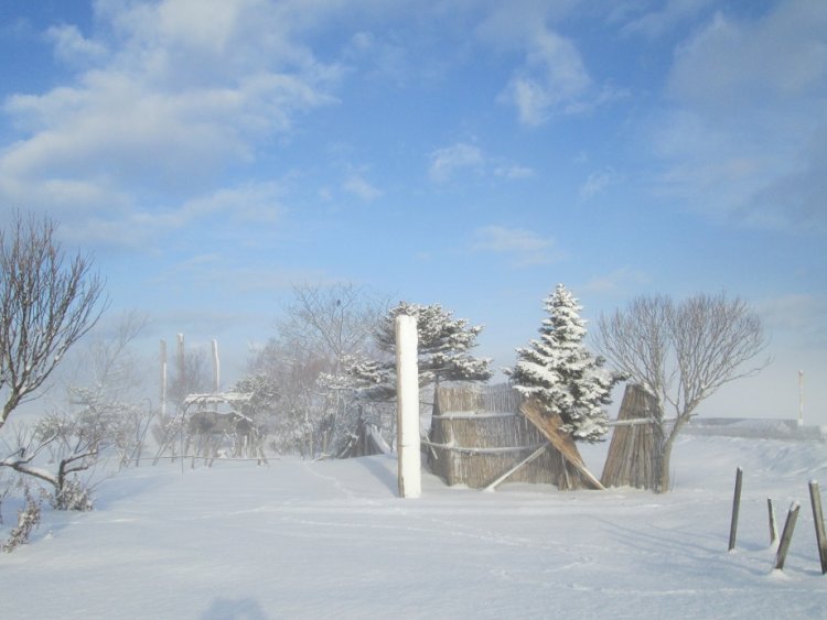 靄（もや）に包まれて