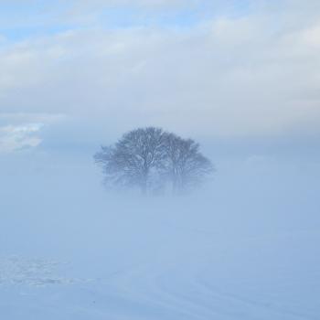 靄（もや）に包まれて