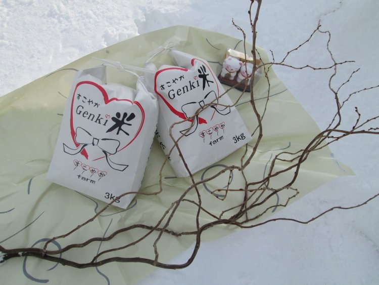 元気米３ｋｇ×２袋