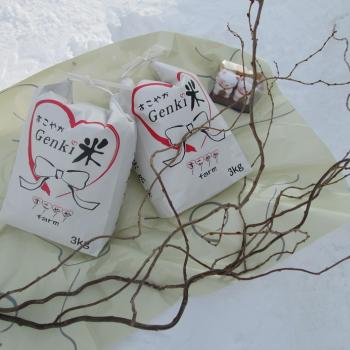 元気米３ｋｇ×２袋