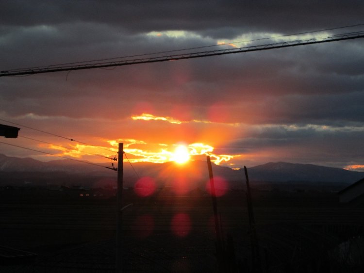 父の月命日に...