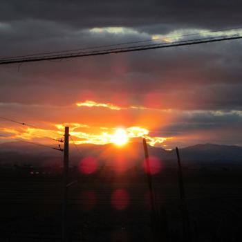 父の月命日に...