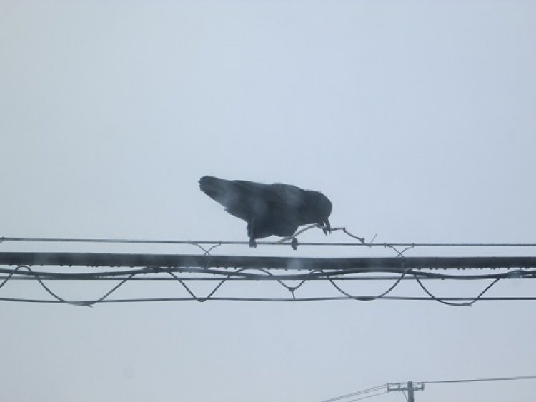 大切なものはなんですか。