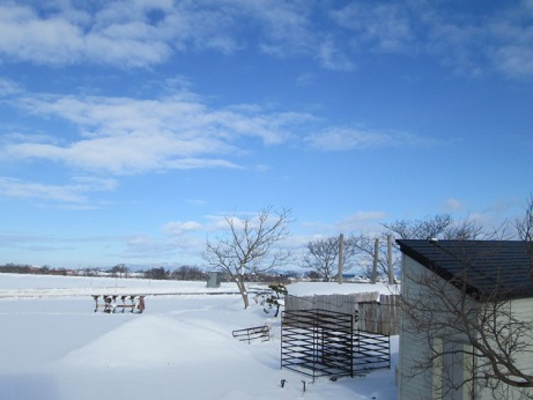 節分ですね＾＾