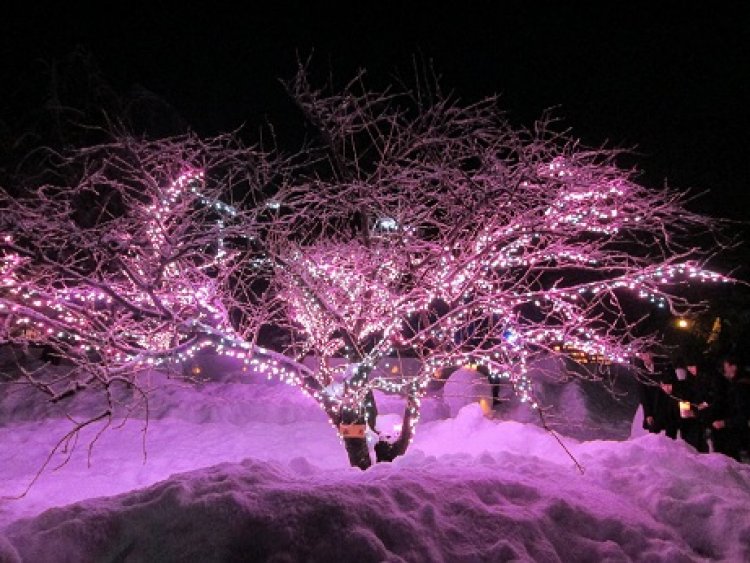 弘前の燈籠まつり Ω