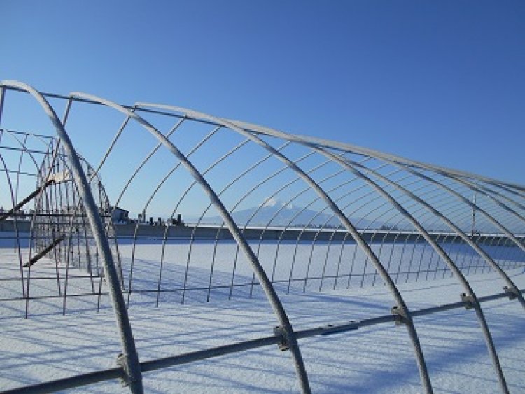 どんな年になるのだろう＾＾