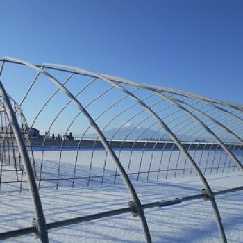 どんな年になるのだろう＾＾