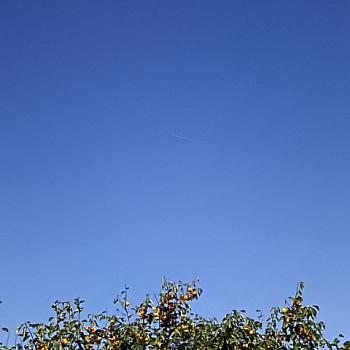 今日も青空