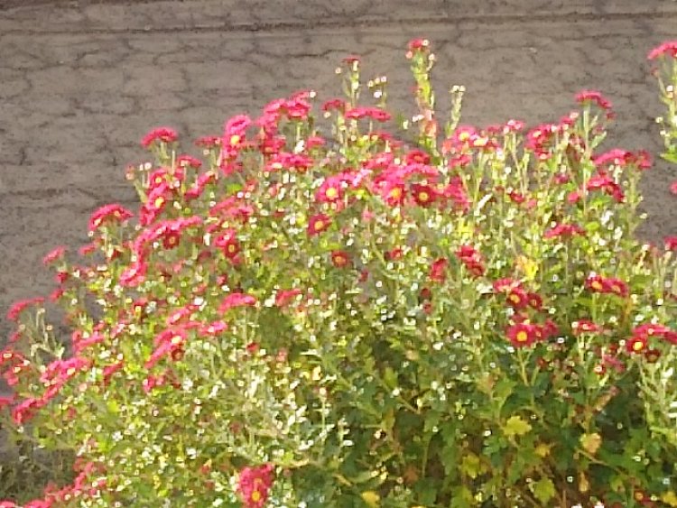 午後４時３８分