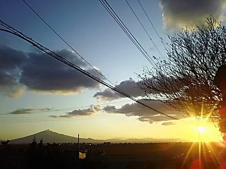 大根、干しましたθ