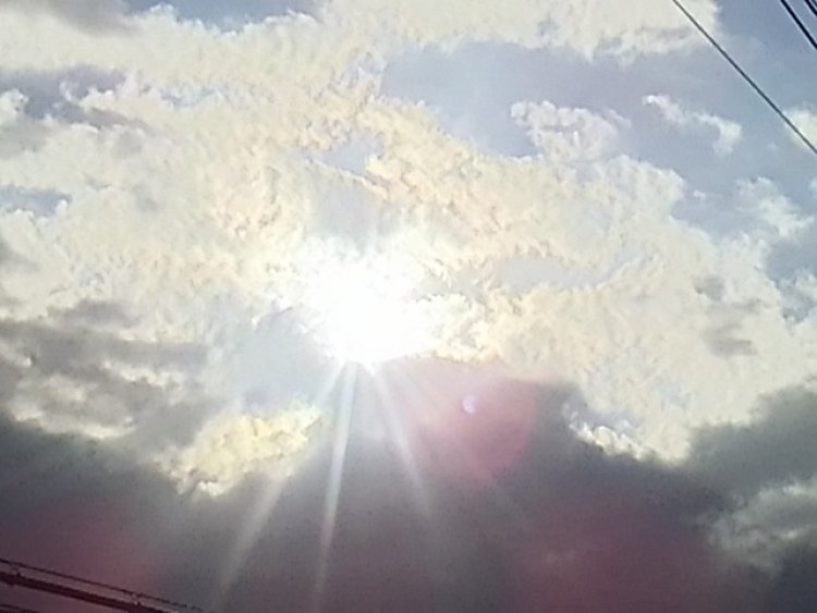 手まり寿司に茶わん蒸し