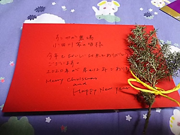 クリスマスイブ⁉