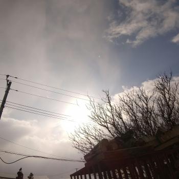 気温があがって