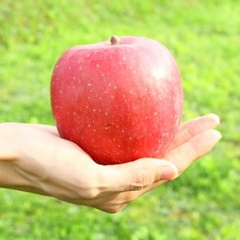 安心・安全を追及