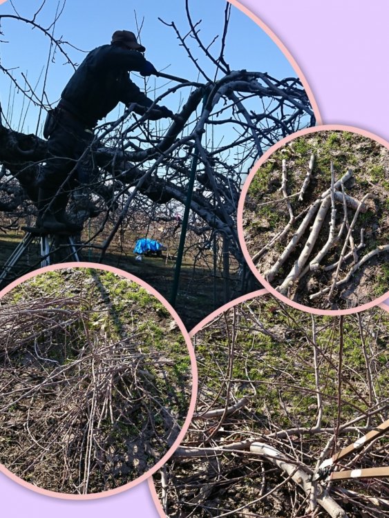 改めまして！！