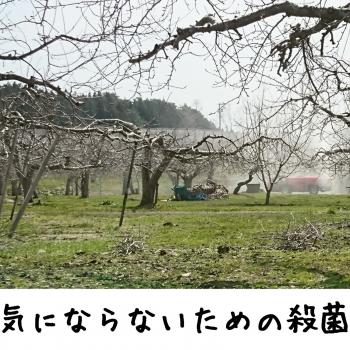 スプレイヤー出動！！！