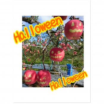 ハロウィーン準備中！！！！