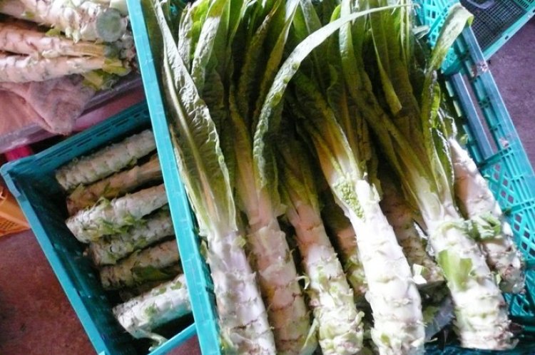 山くらげの注文の受付をしています。