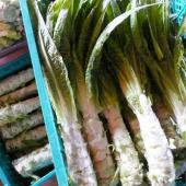 山くらげの注文の受付をしています。 山くらげの注文の受付をしています。