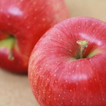 シナノスイート