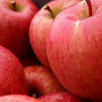 葉とらずサンふじ